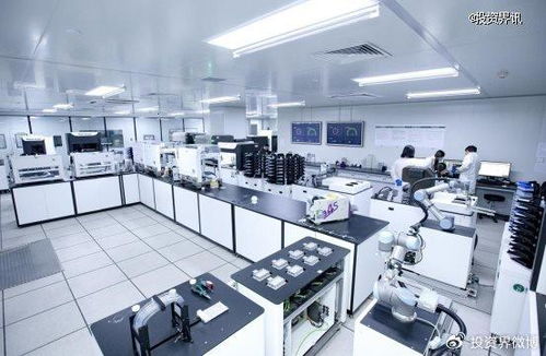 博瑞迪完成2.5億元B輪融資，專注生物育種技術服務，引領農業科技新浪潮