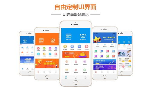選擇正規(guī)靠譜的代還app開(kāi)發(fā)公司 北京軟件開(kāi)發(fā)的全面指南